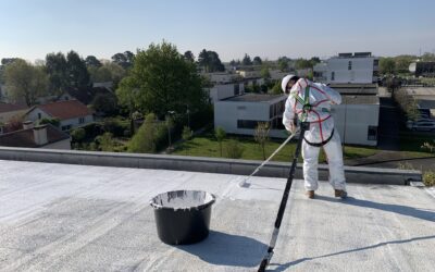 Enercool lance sa peinture cool roof à base de coquilles d’œufs