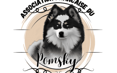 Un Standard pour élever le Pomsky vers la reconnaissance officielle