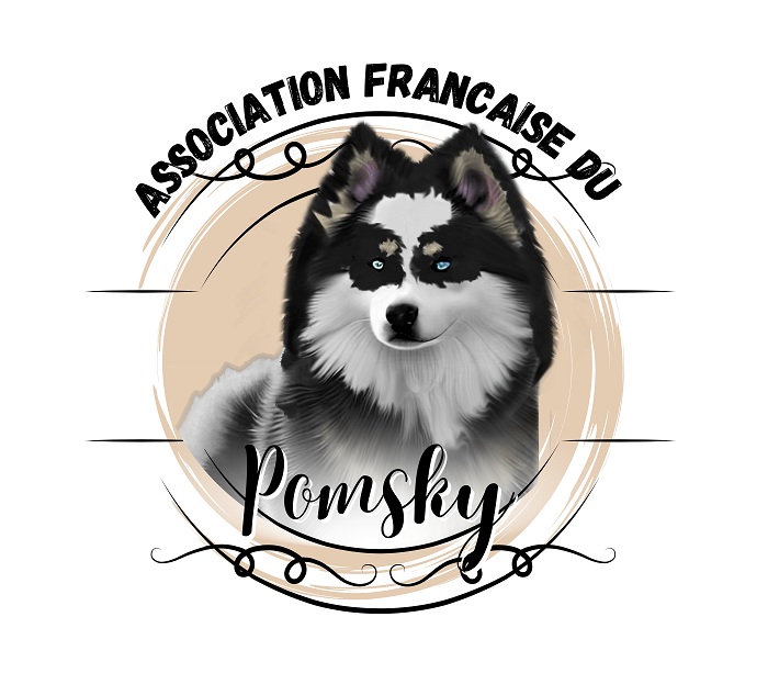 Un Standard pour élever le Pomsky vers la reconnaissance officielle