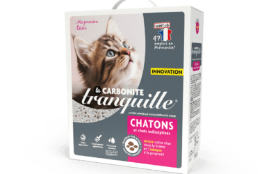 Litière Tranquille présente La Carbonite Chatons