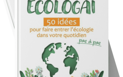 Ecologaï : un livre #feelgood pour un Noël écologique