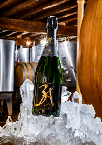 Champagne DE SOUSA : quand la biodynamie redéfinit l’excellence