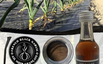 Redonner du sens aux déchets agricoles : une vision signée French Black Garlic
