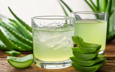 NaturAloé : des compléments alimentaires labellisés Demeter pour préserver l’Aloé Vera