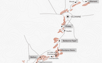 Secraie fait rayonner les Coteaux du Sézannais au Printemps des Champagnes 2025