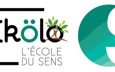 Ekölo : des colonies de vacances écoresponsables et citoyennes