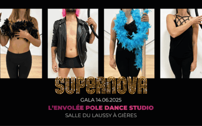 Gala Supernova : la pole dance et les arts aériens en vedette à Gières