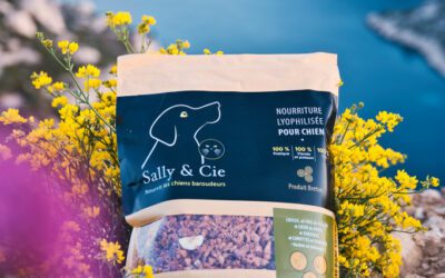 Du cru pour chiens : Sally & Cie mise sur la lyophilisation made in Bretagne
