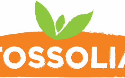 Tossolia : des recettes de seitan bio prêtes à séduire pros et particuliers