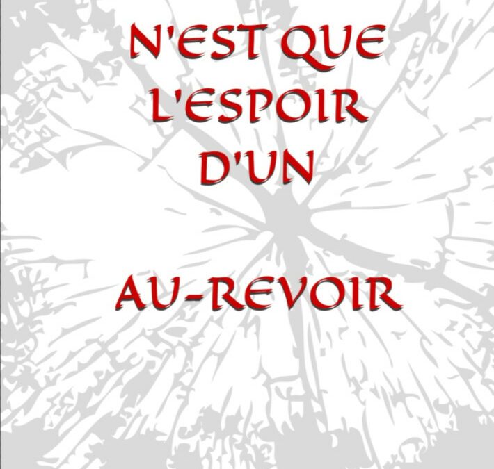 « L’adieu n’est que l’espoir d’un au-revoir » : un récit à hauteur d’âme