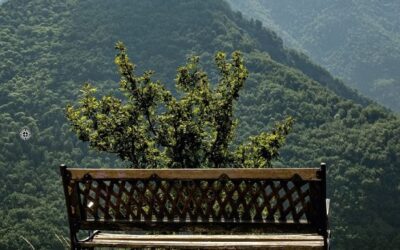 « À pied du Léman à la Méditerranée » : récit photographique d’un voyage sur le GR5