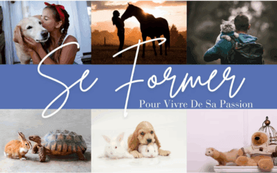 ASBE, un tremplin vers l’entrepreneuriat animalier pour tous
