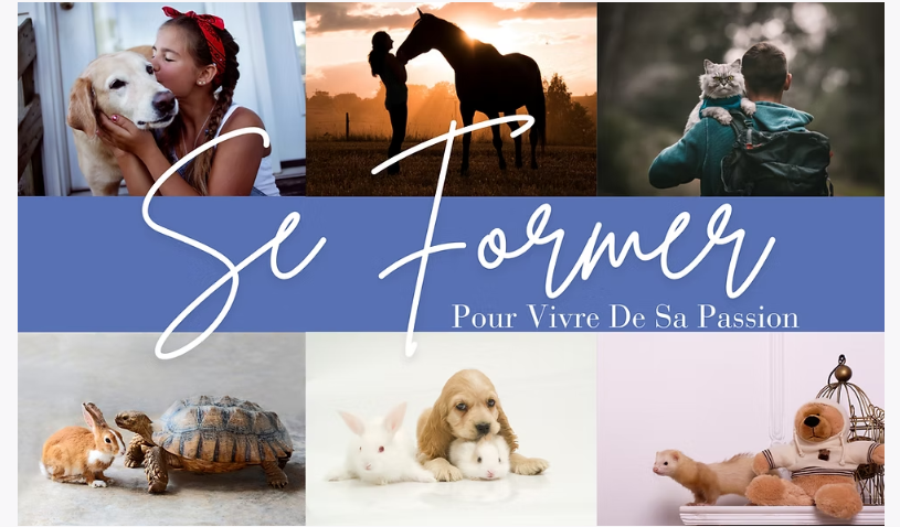 ASBE, un tremplin vers l’entrepreneuriat animalier pour tous