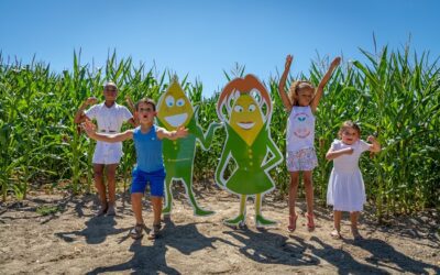 Pop Corn Labyrinthe : une aventure ludique et agricole en plein cœur de la Seine-et-Marne