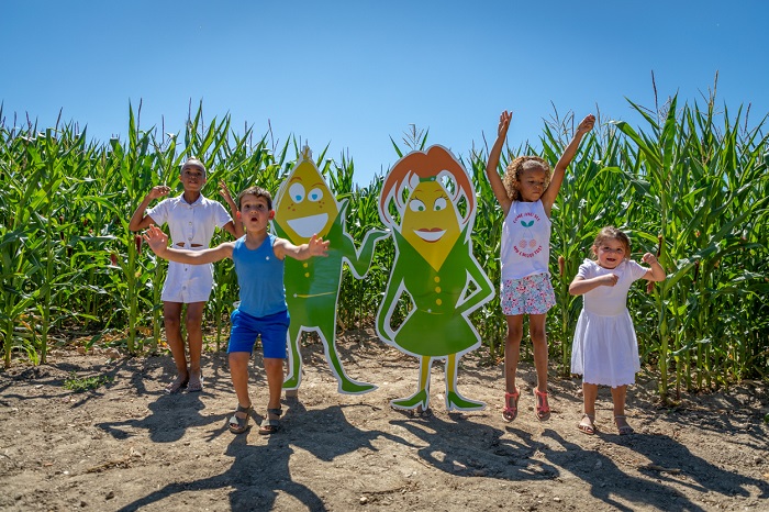 Pop Corn Labyrinthe : une aventure ludique et agricole en plein cœur de la Seine-et-Marne