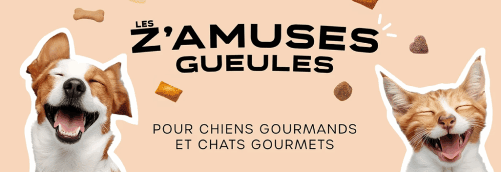 Tranquille lance Les Z’amuses Gueules : des friandises pensées pour les animaux et leurs humains