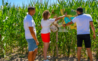 Pop Corn Labyrinthe de Berck : une aventure nature et ludique pour l’été 2025