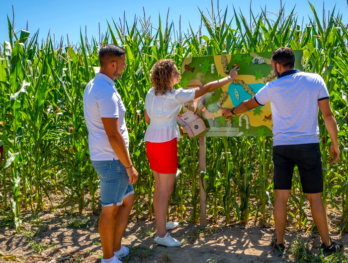 Pop Corn Labyrinthe de Berck : une aventure nature et ludique pour l’été 2025