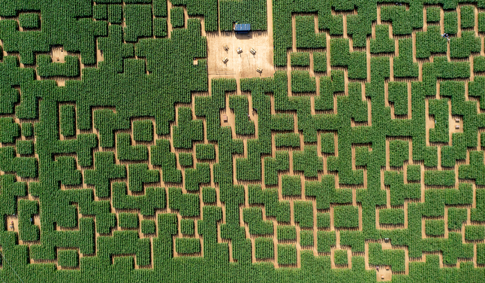 Pop Corn Labyrinthe de Berck