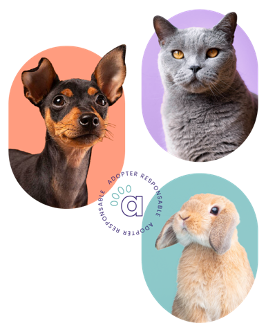 Avec Animaux.fr, trouvez l’animal qui vous correspond et soutenez les associations