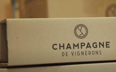 De la vigne à la coupe : le pari gagnant de Champagne Terroir