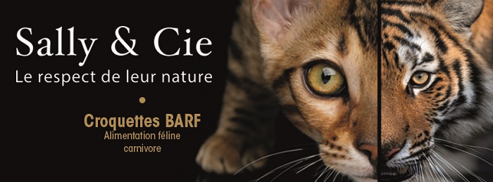 Vers une alimentation féline plus naturelle : le pari de Sally & Cie