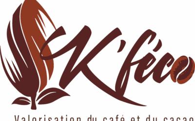 K’FECO et le réveil du cacao créole : un héritage qui reprend vie en Martinique