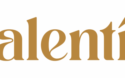 Alentí : le Bag-in-Box éco-responsable qui séduit les amateurs de vin