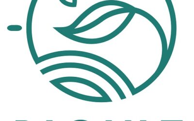 Quand les algues entrent dans le quotidien grâce à la Formation Biovie