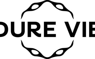 Dure Vie App, entre agenda culturel et média embarqué