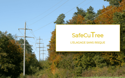 SafeCuTree : la coupe à distance qui redéfinit la sécurité en élagage