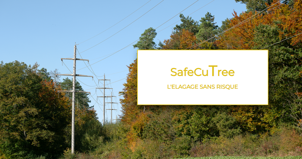SafeCuTree : la coupe à distance qui redéfinit la sécurité en élagage