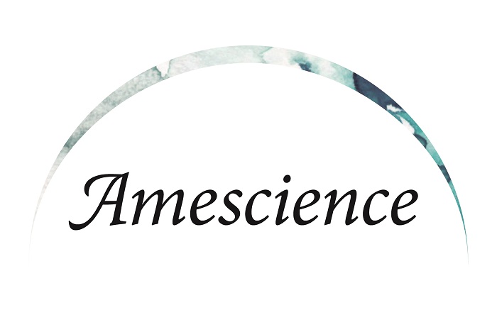 Soph-IA : l’intelligence artificielle qui aide à clarifier les décisions complexes