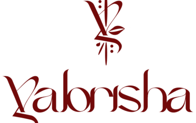 « Namata, là où tout commence » : un roman pour explorer mémoire et héritage