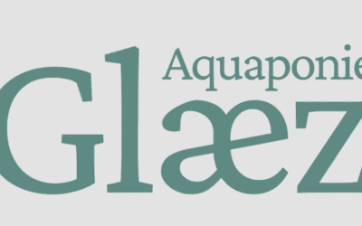 GLÆZ Aquaponie transforme le bassin de poissons en potager productif