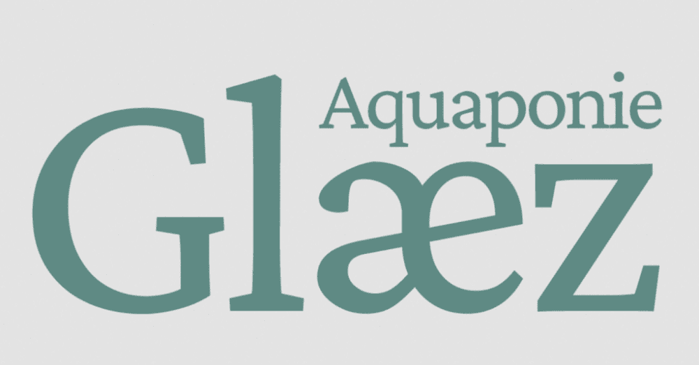 GLÆZ Aquaponie transforme le bassin de poissons en potager productif