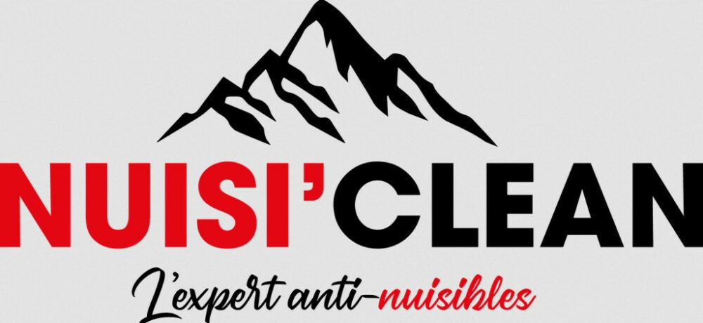 Punaises de lit : Nuisi’Clean face à un enjeu sanitaire devenu majeur