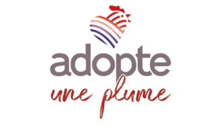 Adopte une Plume mobilise les citoyens pour protéger les races de poules françaises