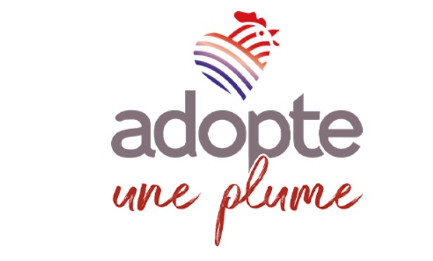 Adopte une Plume mobilise les citoyens pour protéger les races de poules françaises
